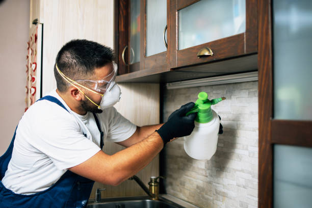 Best Wasp Removal Services  in Pagedale, MO