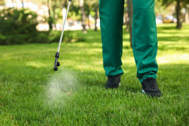 Best Termite Control Services  in Pagedale, MO