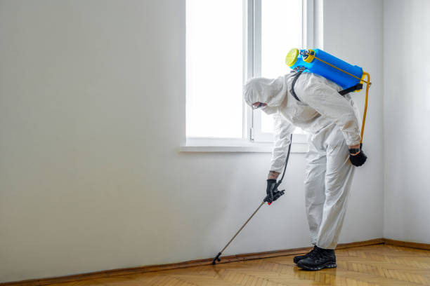 Best Mosquito Control Services  in Pagedale, MO