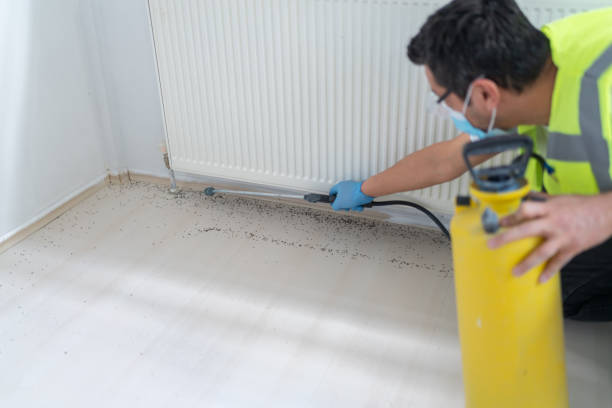 Best Ant Control Services  in Pagedale, MO